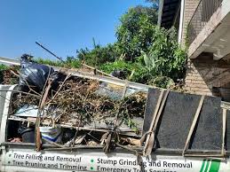 Best Residential Junk Removal  in Camden, AL